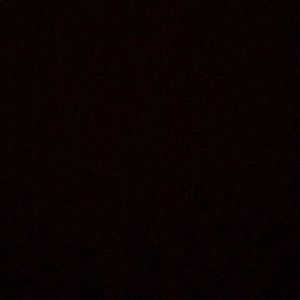 Meet your Posher, Willie